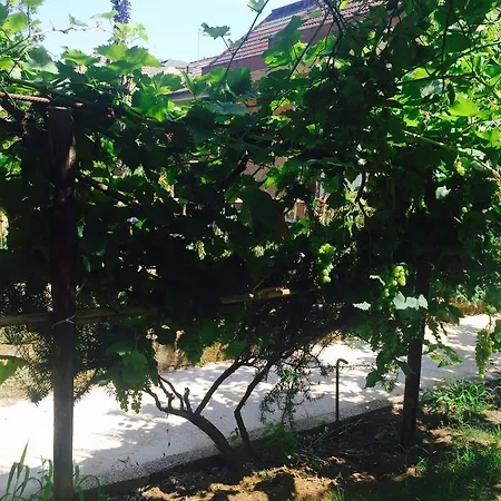 Guest house Aloha House Formia