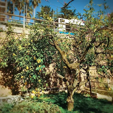 Πανσιόν Aloha House 4*